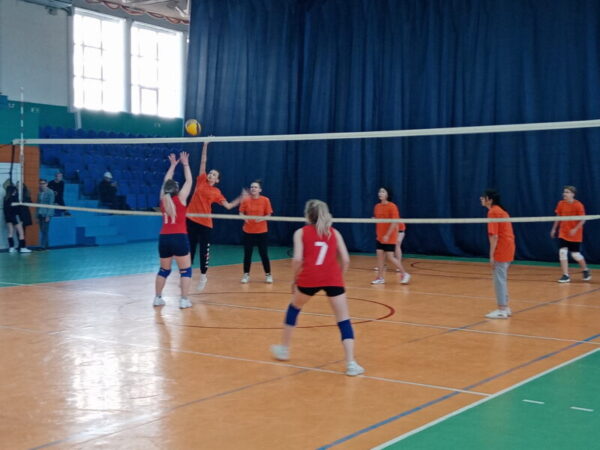 Прошли соревнования по волейболу среди студенток Волгодонска