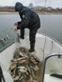 Из Цимлянского водохранилища вытащили 16 браконьерских сетей с рыбой и раками