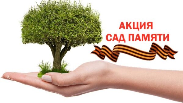 Школьники Волгодонска в рамках акции «Сад памяти» высадили 12 деревьев