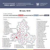 Число инфицированных COVID-19 на Дону выросло на 101