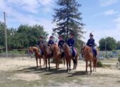 Конные казачьи дружины начали патрулировать участки трассы М-4 «Дон» в Ростовской области