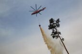 На Дону ожидается самый высокий класс пожароопасности 23 и 24 августа