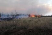 Лесной пожар в Зимовниковском районе тушат уже десять часов
