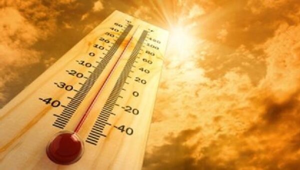 Главное управление МЧС предупреждает о сильной жаре в Ростовской области в ближайшие трое суток 