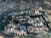 В Цимлянском водохранилище браконьеры наловили рыбу на 100 тысяч рублей