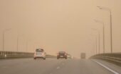 Синоптики прогнозируют на Дону пыльную бурю