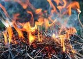 Чрезвычайная пожароопасность в 36 районах Ростовский области сохранится в ближайшие два дня