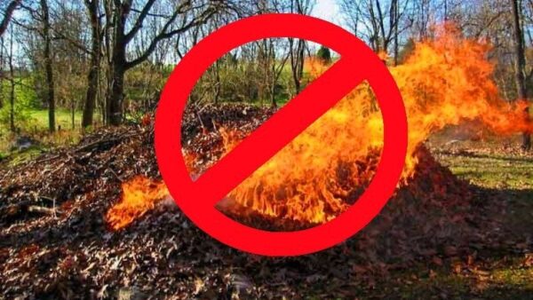 За сжигание сухой листвы и растительности нарушителям грозят серьёзные штрафы