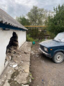 В донском хуторе Михайлов ВАЗ 21053 пробил стену дома, пострадала девочка