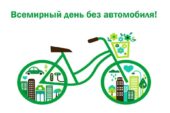 24 сентября в Волгодонске пройдет День без автомобиля