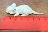 Ростовские врачи из желудка ребенка достали 7-сантиметровую игрушку