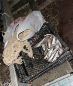 Выловили более 100 уклеек: в Волгодонске поймали браконьеров-рецидивистов