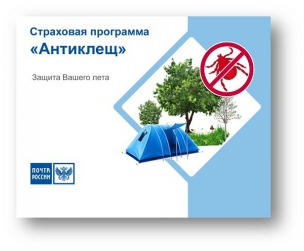 Страховку от укусов клещей жители Ростовской области могут оформить на почте