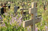 В Ростовской области могут появиться частные кладбища и крематории