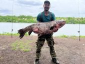 Житель Ростовской области поймал белого амура весом 34 килограмма