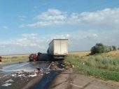 В Ростовской области водитель легковушки погиб в лобовом столкновении с фурой