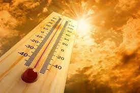 На выходных жара в Ростовской области вновь усилится до +36 °С