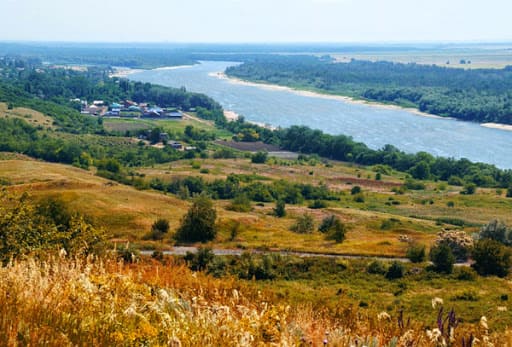До +38 °С усилится жара в Ростовской области на выходных