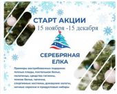 Волгодонск присоединился к акции единороссов «Серебряная ёлка»