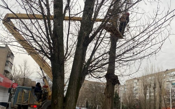 На улице 30 лет Победы начата валка аварийно-опасных деревьев