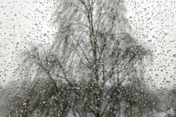 В последние выходные января Ростовскую область вновь накроют дожди и мокрый снег