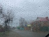 На выходных в Ростовской области обещают дождь и потепление