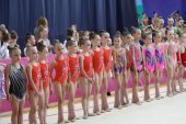 Первенство по художественной гимнастике «Краса Дона» прошло в Волгодонске