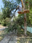 На территории города продолжаются работы по санитарной обрезке деревьев и вывозу навалов веток