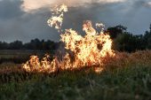 В Ростовской области в течение суток произошло 14 ландшафтных пожаров
