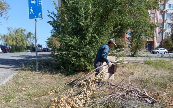 Очередная партия веток и строительного мусора вывезена из новой части Волгодонска