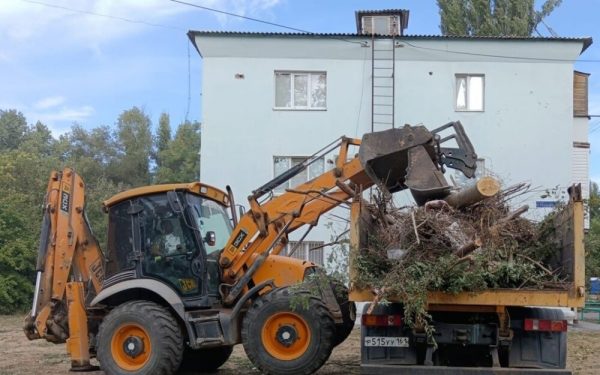 Вывозится мусор, выполняется уход за деревьями: как в Волгодонске проходит месячник чистоты