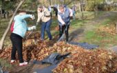 Более 180 человек приняли участие в общегородском субботнике в Волгодонске